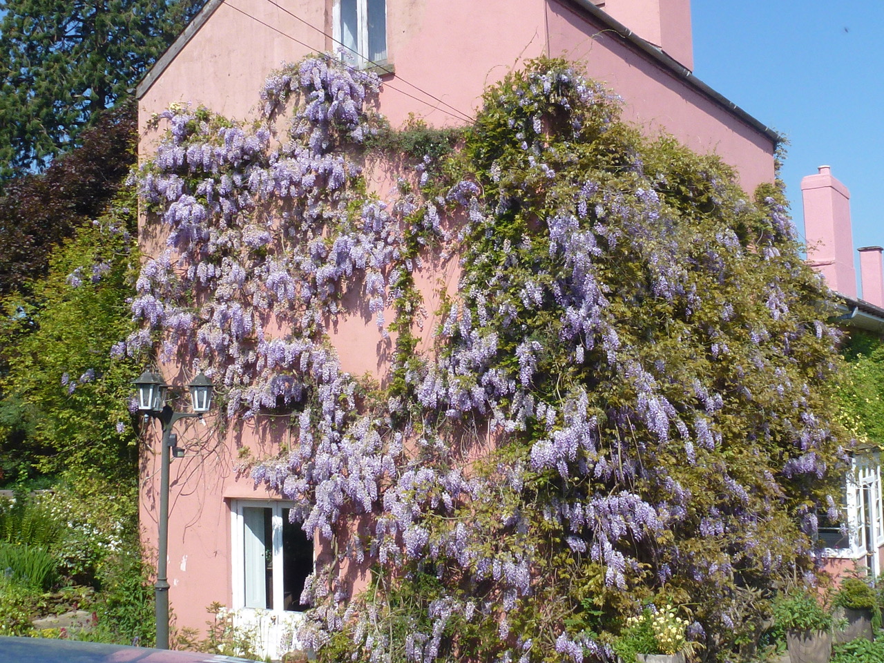 pretty cottage